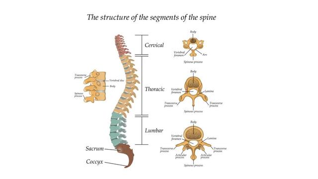 黄晓明叶珂断崖式翻车:恩爱全都是装的?