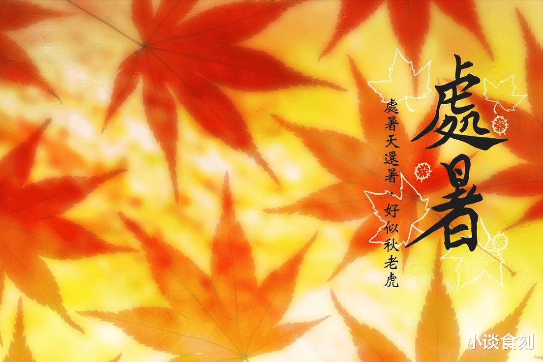 七月十九处暑节,今年处暑不一般,有3个特殊之处,分别指的啥?