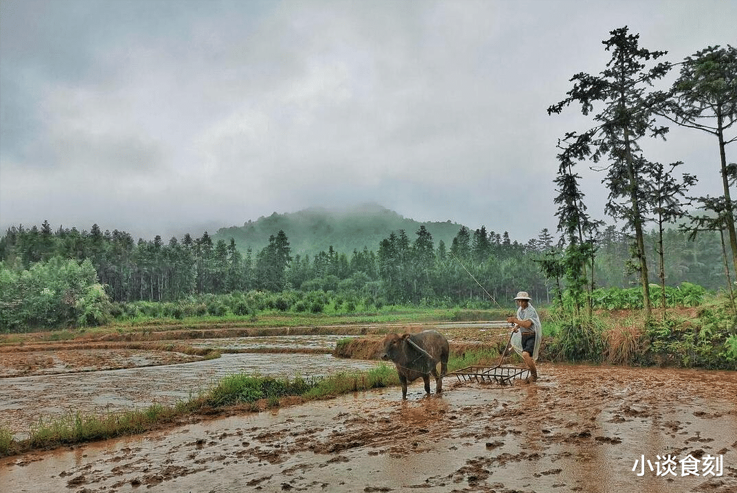 “十六三不做，春季无灾祸”，今日二月十六，哪3不做？答案来了