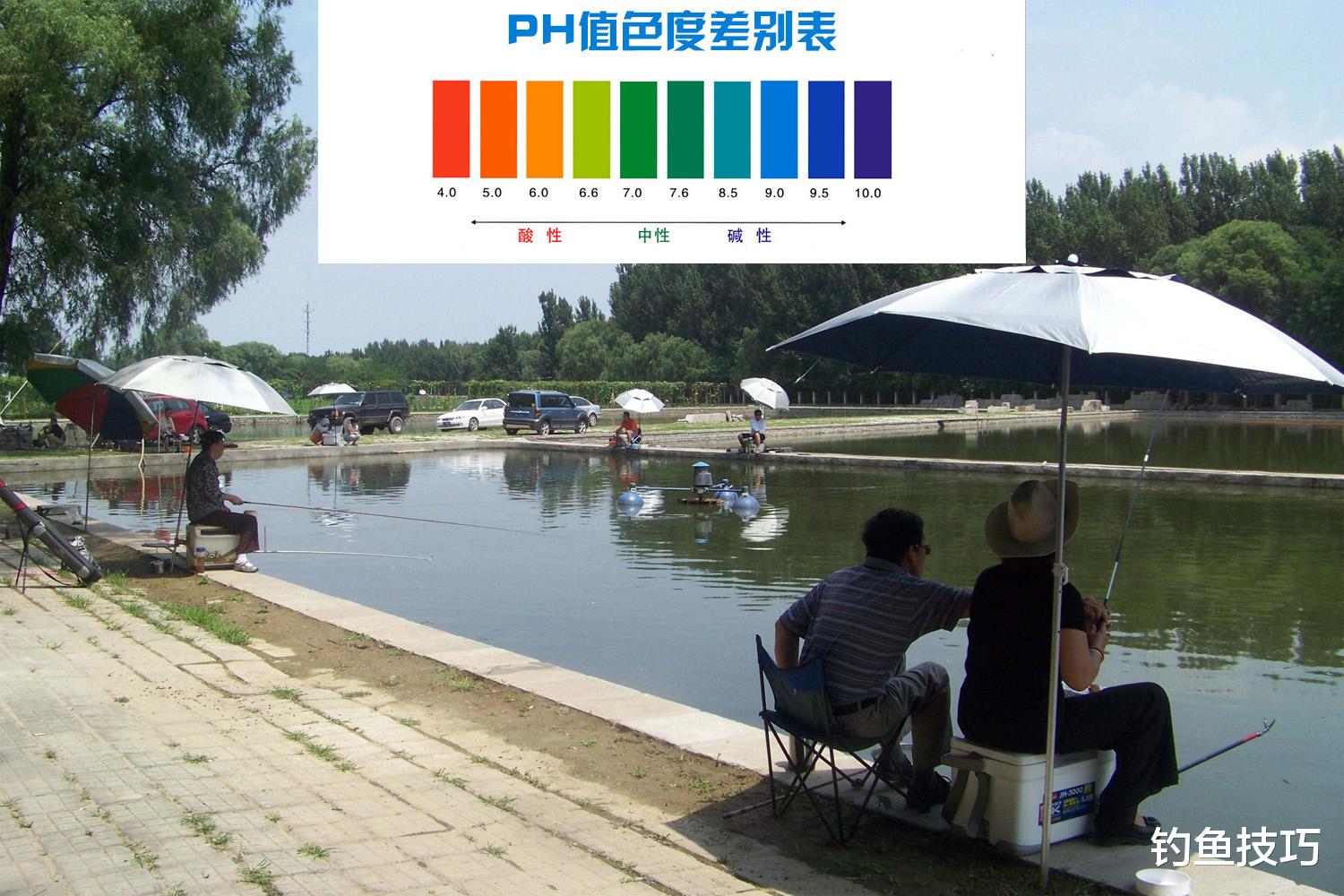 水体酸碱度对钓鱼的影响,鱼饵效果差别巨大