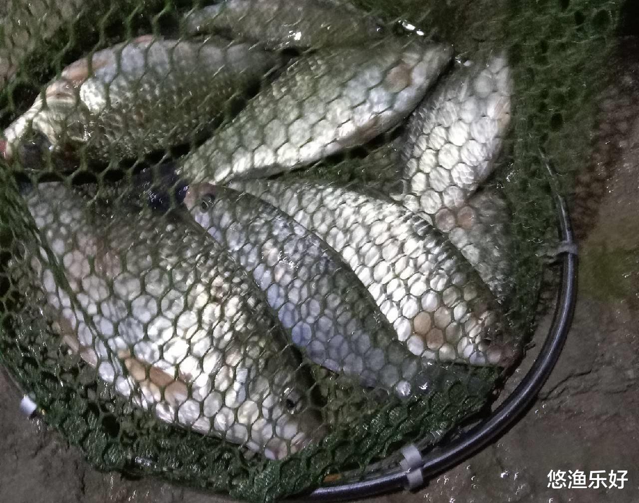 一个真实的夜钓故事,从此对鬼怪的说法有了新的认知的原因!