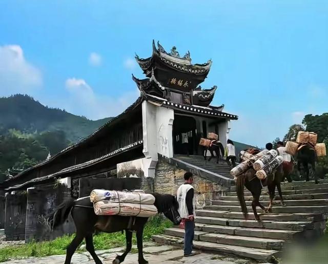 父亲走后宗馥莉久违现身，身形消瘦模样干练，上任5把火尽显野心