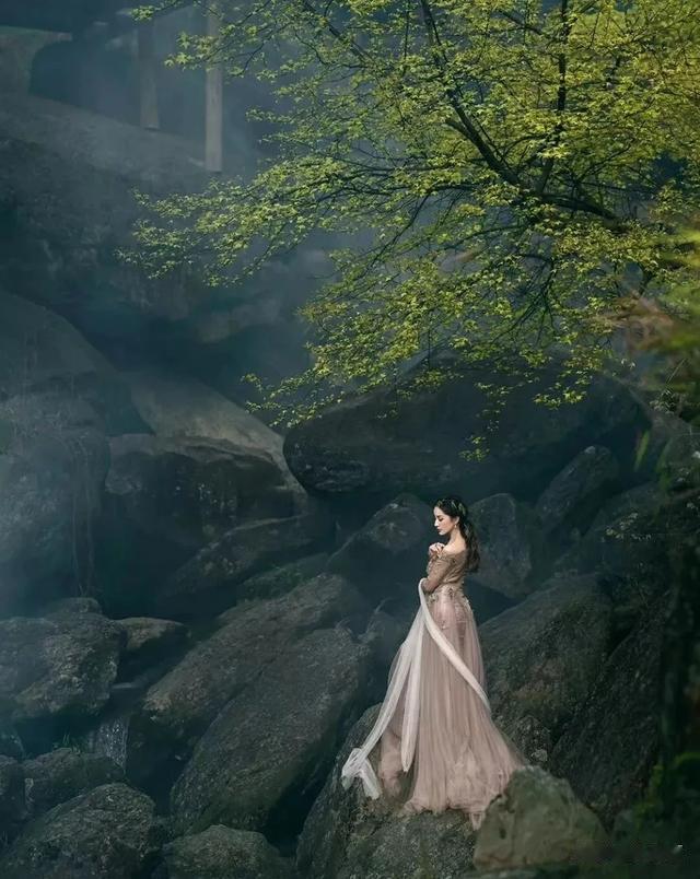 胖猫的悲剧带给职场年轻人们的启示