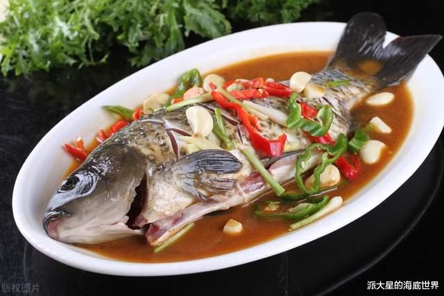 桂鱼:从水中精灵到餐桌美食,美味与文化的碰撞