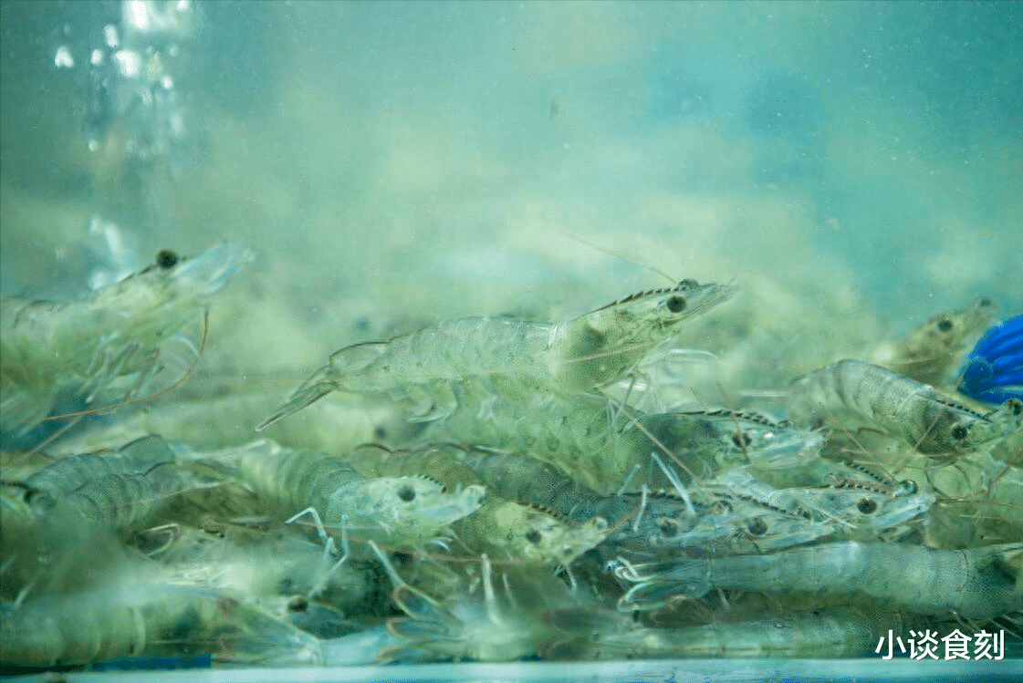 买大虾时,不是价格贵就好,这4种尽量少买!健康第1位,涨知识了