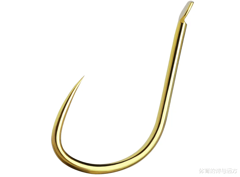 无倒刺钩与有倒刺钩，究竟怎么用，钓友吵翻了