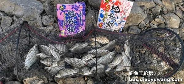 用地狱猫，2024年才找回一点点中鱼的感觉