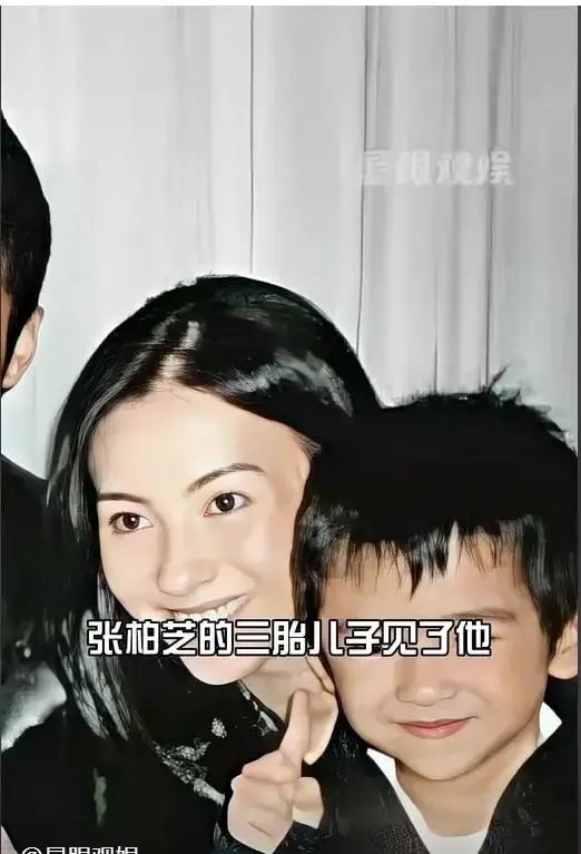 亲子鉴定曝光谢家丑闻, 谢贤付十亿代价, 张柏芝愤怒断绝关