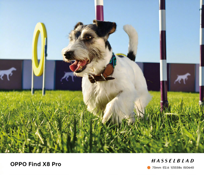 高端旗舰扎堆,10月换机千万要忍住,OPPO Find X8坐等真香价格