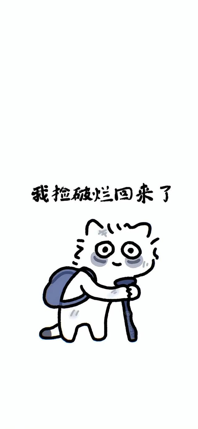 做手機壁紙太合適了11.22