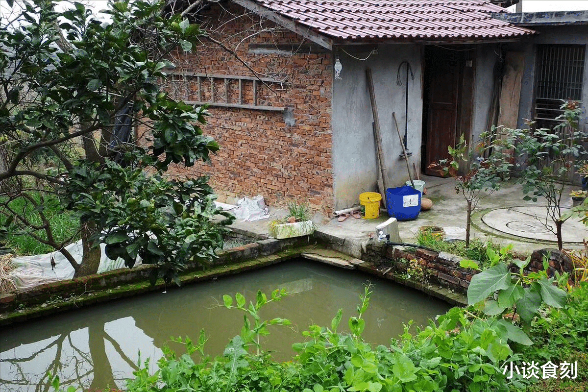 “一怕树压房,二怕屋后塘,三怕门前田”,分别指啥?为啥要怕?