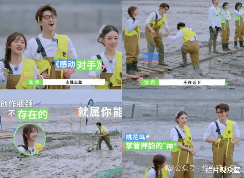 《桃花坞4》收官了，导演高低要给仁科和650磕一个