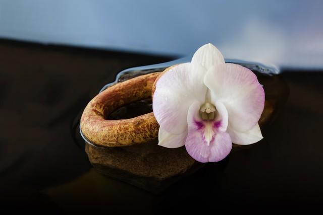 紫罗兰手镯现在大概是什么价格