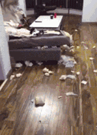 “无意中在女同事车上发现的，这是用来干嘛的？”网友们内涵了！