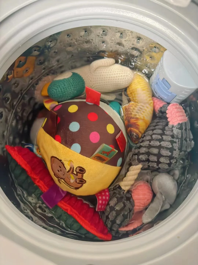 7件常用家電，“便宜貨”反而更好用，不是摳搜，體驗(yàn)過真爽