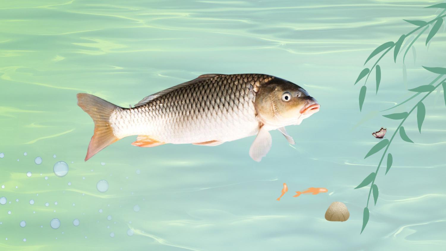 初春瘦水钓鱼用饵的5个技巧，用对饵钓得多