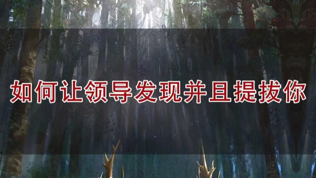 近距离揭秘：提拔飞快的人为何会来事会说话