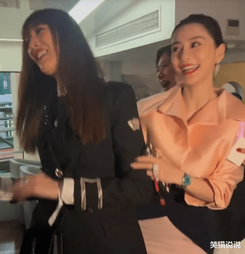 杨颖与琦琦共舞好欢乐,钟镇涛拍视频好开心,林心儿碰杯交谈显惬意