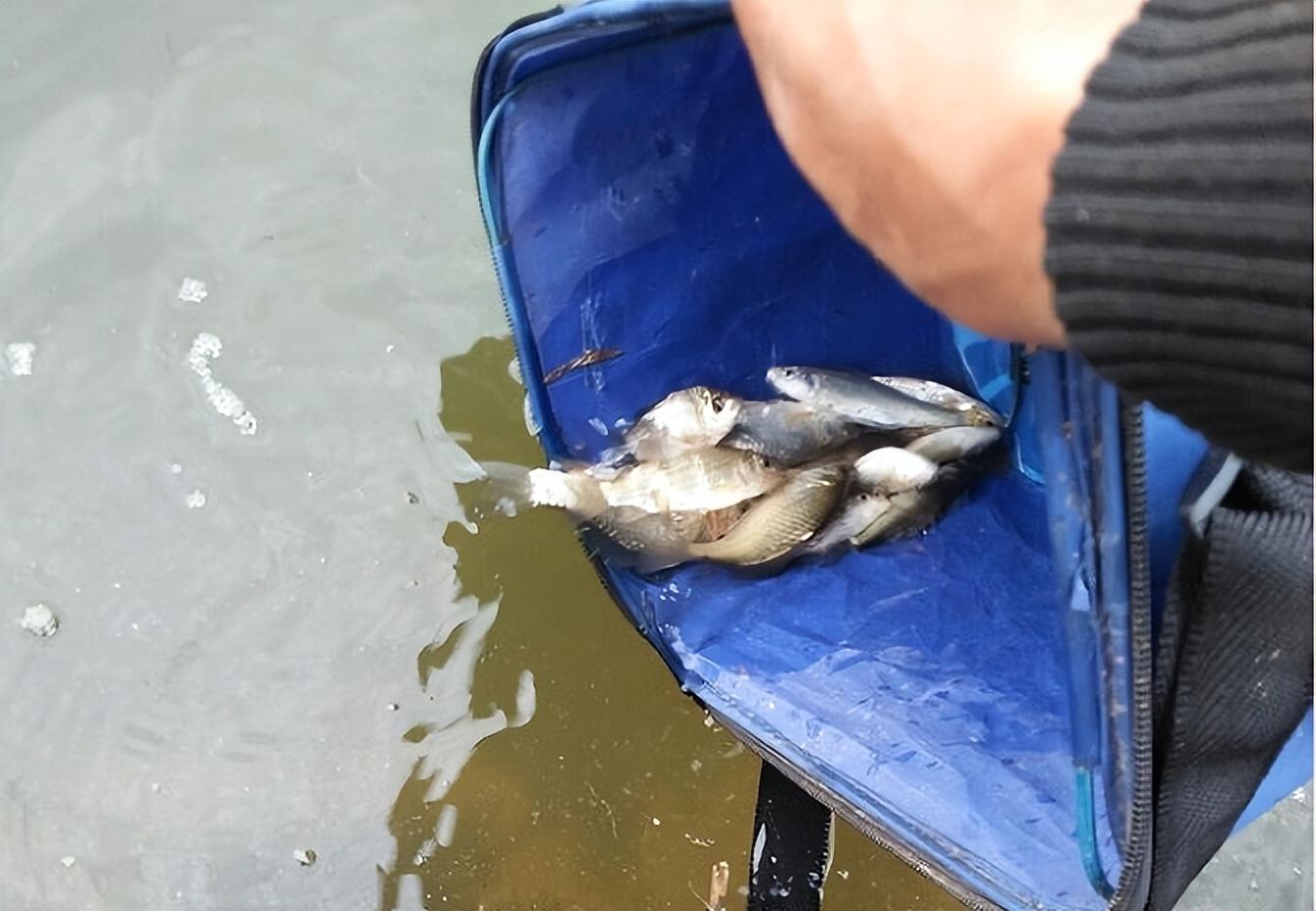 想成为快乐钓鱼人？遵守这十条规矩，你也能保持愉快的好心情