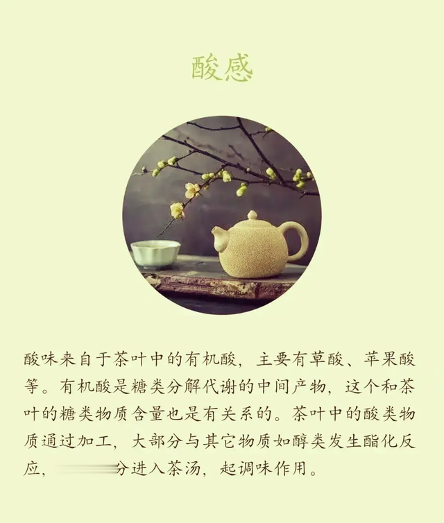茶不洗你敢喝吗？什么茶要洗？什么茶可以不洗？