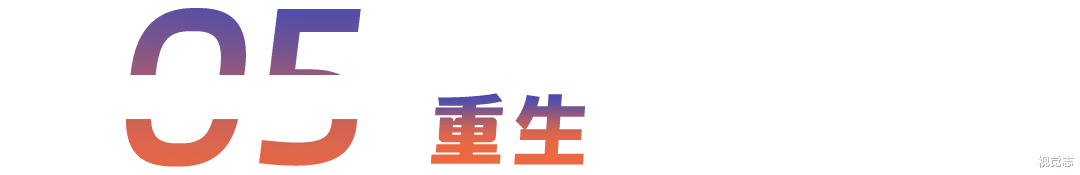 退圈的网红:我已经,财富自由了