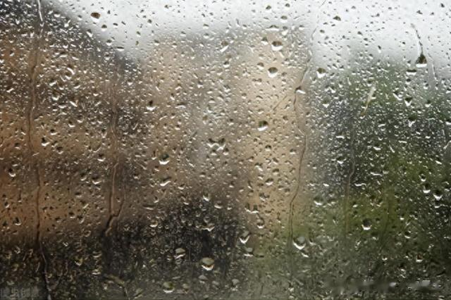 大腿根潮湿 异味重？中医一招:先六君子 再二妙 彻底斩断湿热之源！