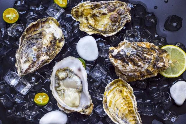 明明长得都一个样,为啥一个叫生蚝,一个叫牡蛎?原来差别在这!