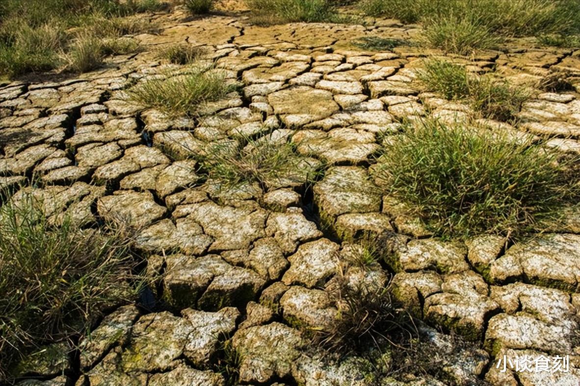 北方多地出现“干旱”,农谚说“五月旱不算旱”,为啥这么说?