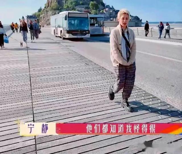 华晨宇|看来，宁静挺“唯利是图”的，当年的偶像来了她可不是这样的！