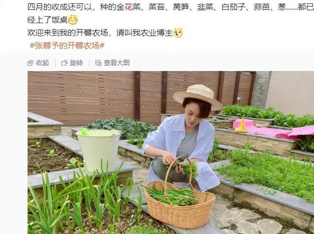 何捷年薪曝光！遭网友群嘲买不起一个包，张馨予霸气回怼护夫