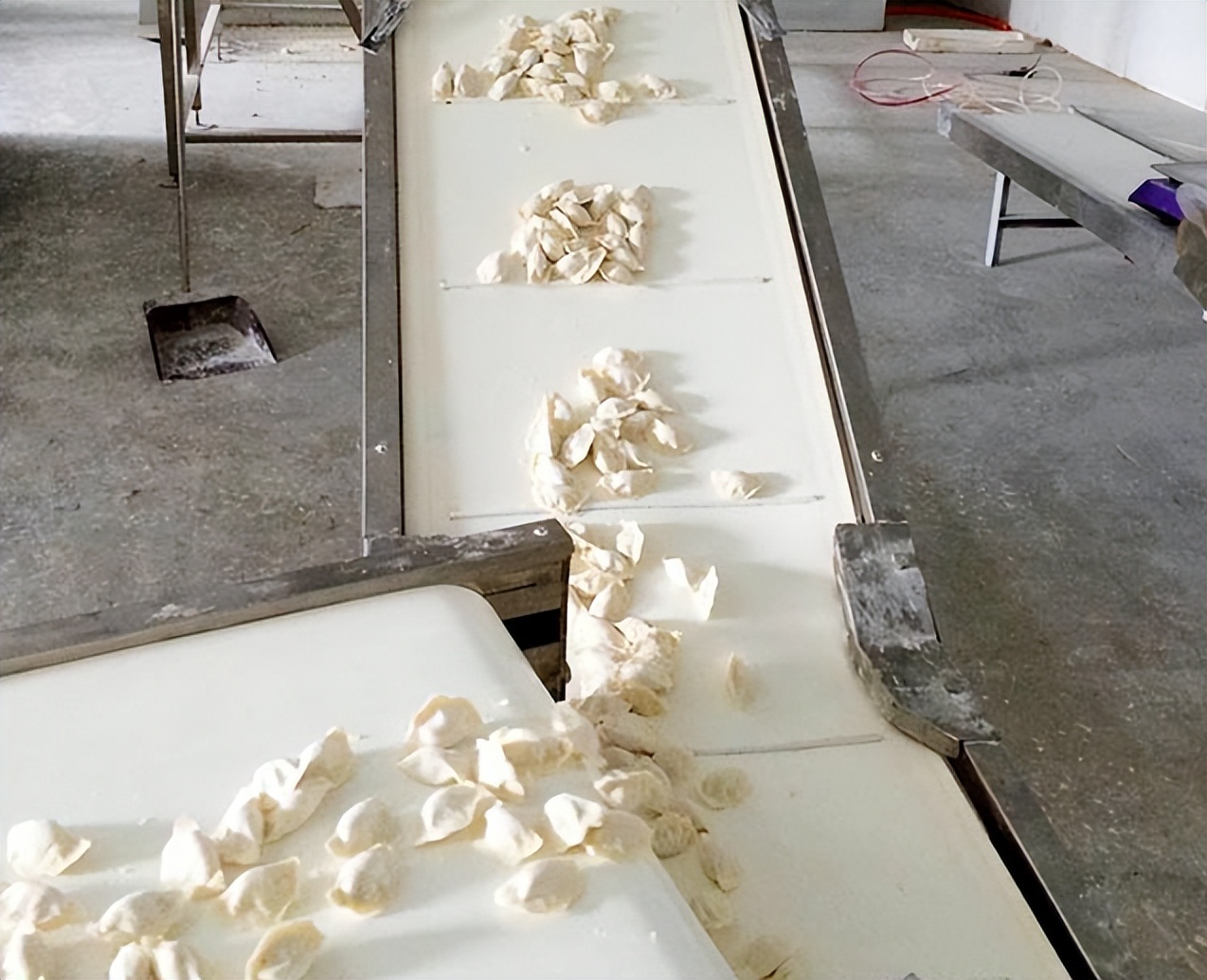 超市里几块钱一袋的冻饺子,能吃吗?听超市员工说完:幸好没买