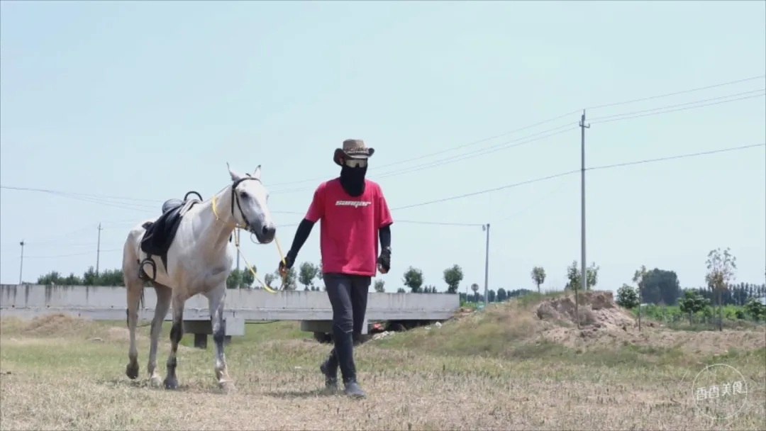 车程只要半个小时,就能美食相伴、策马奔腾潇潇洒洒?