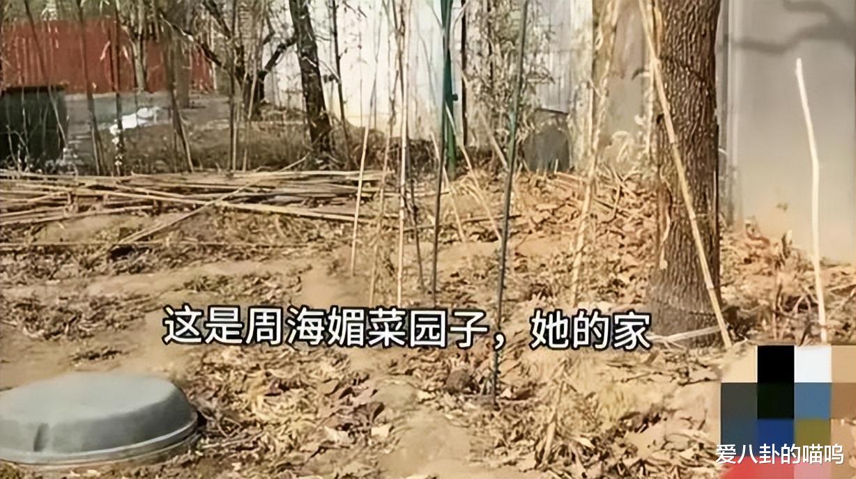 周海媚去世半年:豪宅小院杂草丛生,家人正为她讨公道起诉泄密者