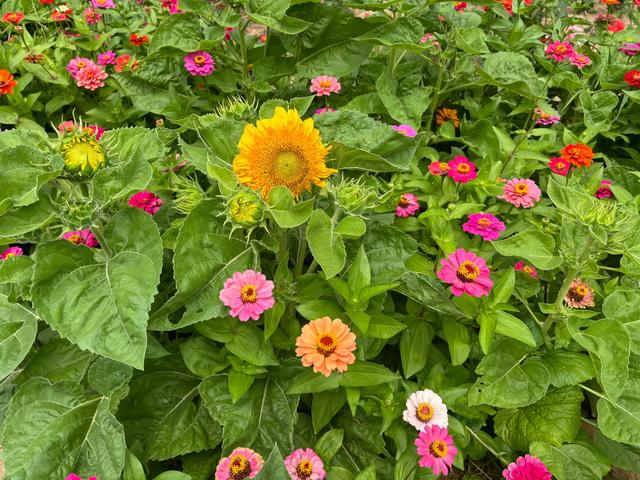 让自己越来越年轻的18个秘诀