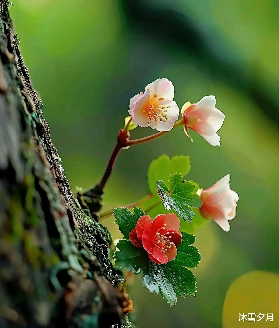 她和初恋的相逢,让各自平静的家起了波澜,最终他们做了同样的选择