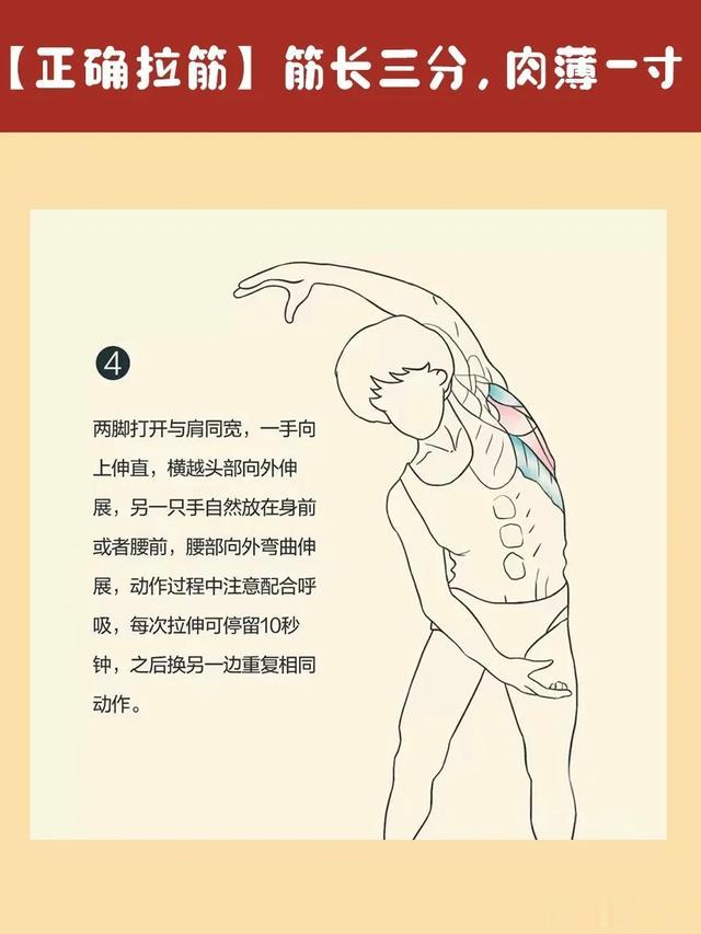 你以为练瑜伽才需要拉筋,实际上拉筋的人太多了,因为筋长命就长