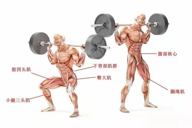 为什么要进行力量训练？增强肌肉，强化骨骼，提升代谢，延缓衰老
