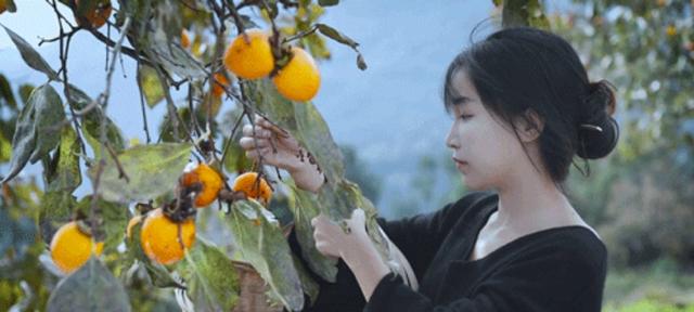 时隔一年李子柒再度营业,近照堪比毁容,她经历了什么?