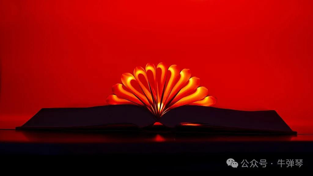 你们居然这样玩了