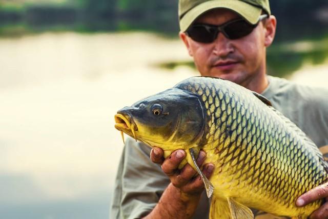 野钓最好用的饵料!专钓大的!开饵料必备技能!差一点也不好使!