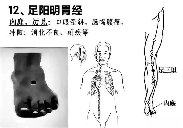 十二经络养生顺口溜，附图解