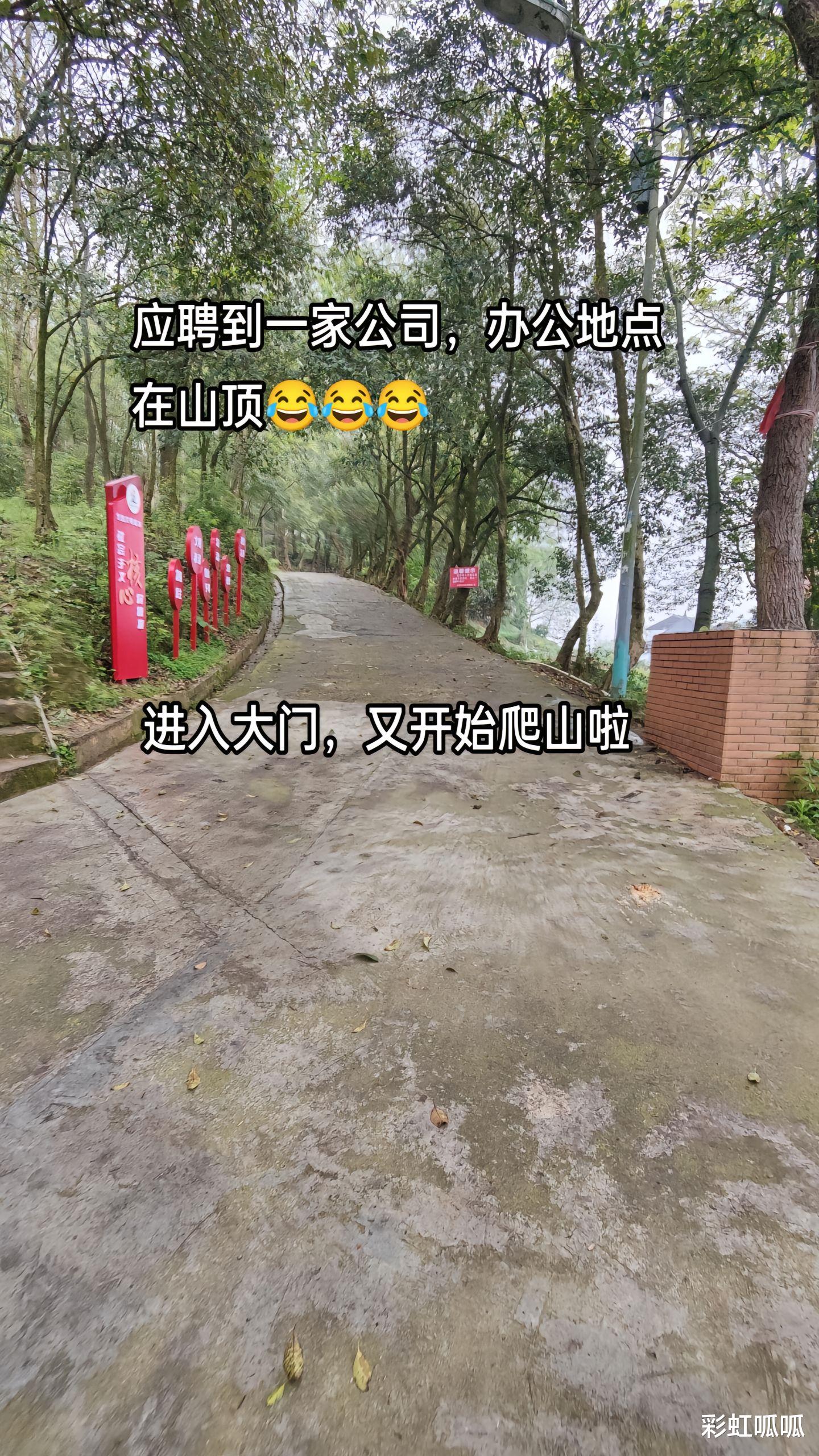 我可以干到退休！贵州一女子去当守山员，追剧玩游戏都没人管