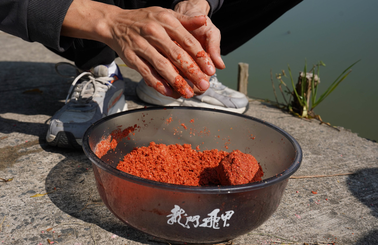 环环相扣的钓鱼知识:五大逻辑助力上鱼