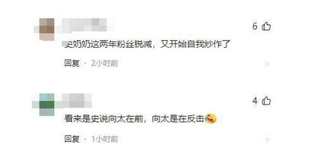 要横返回香港,内地无人纵容于你!史晓燕抨击向太,网友直呼过瘾