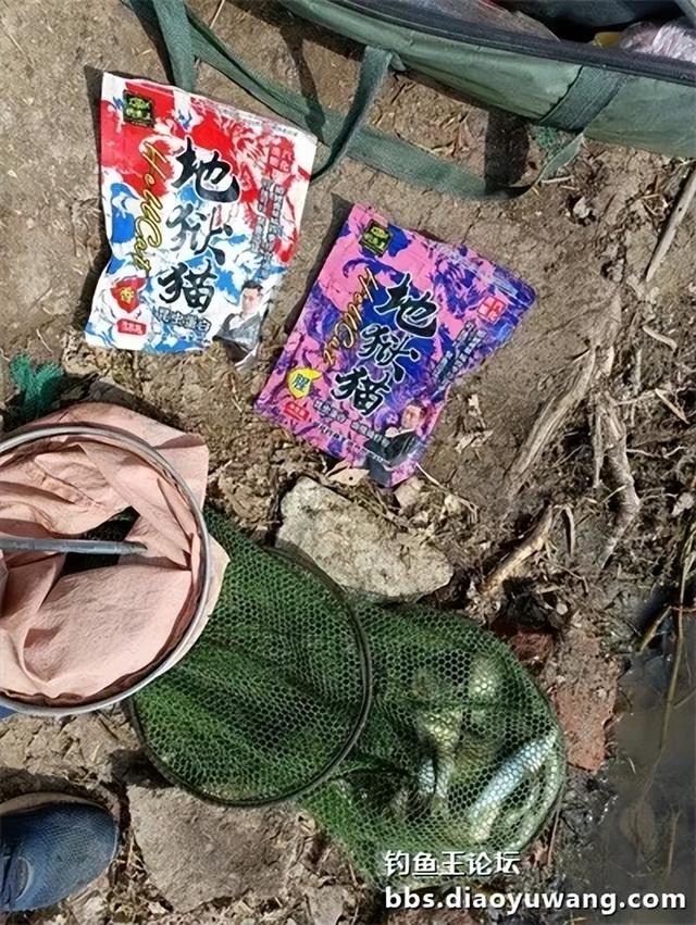 带上地狱猫，野钓有大鲫