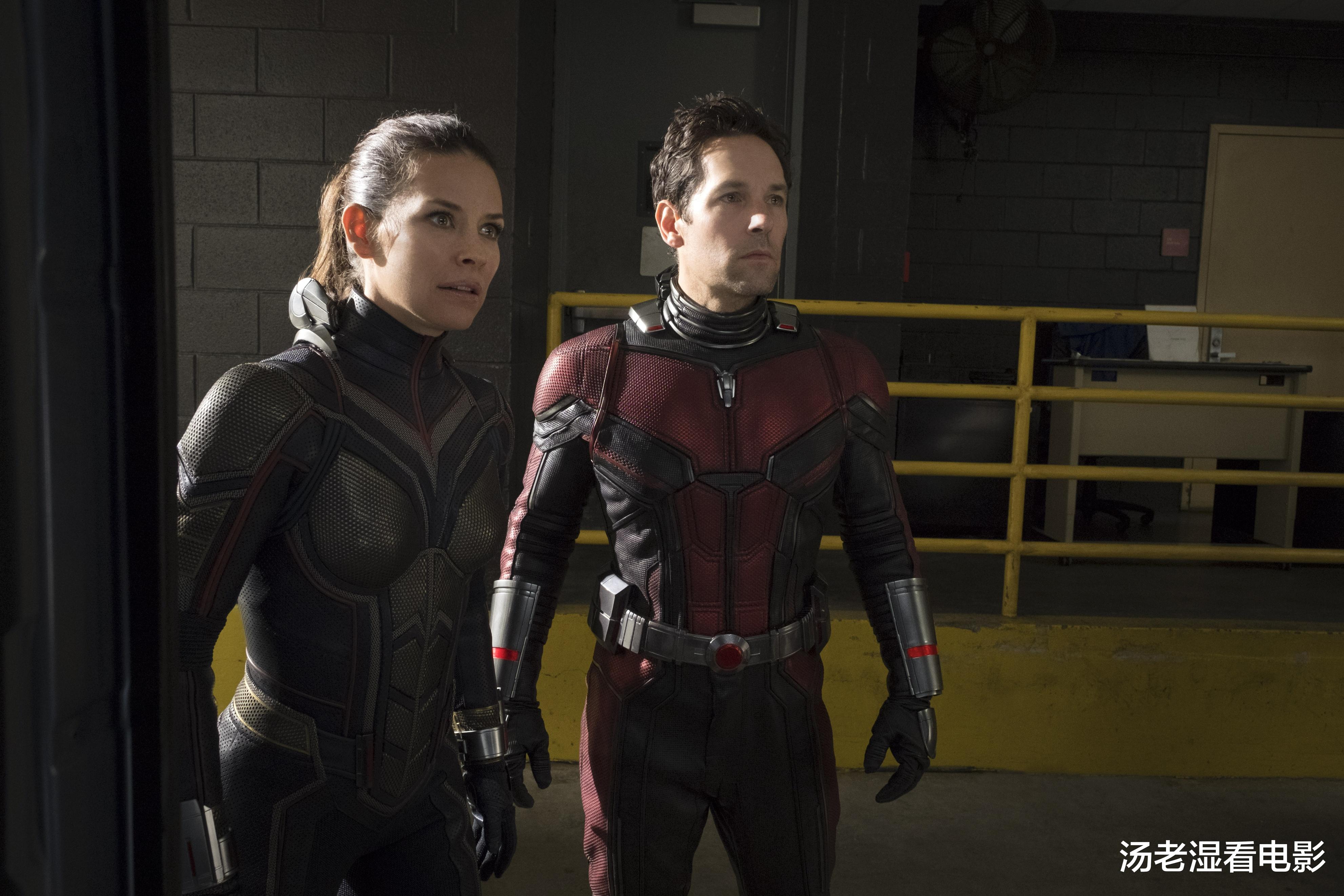 遁入空门！“黄蜂女”伊万杰琳·莉莉宣布退出好莱坞并踏入佛门