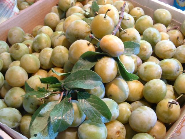 夏天，这食材我一买就是十斤，人人笑我颠，我笑他人不识好东西！