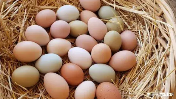 鸡蛋壳颜色为什么有些深有些浅？原来是有原因的，以后别乱买了
