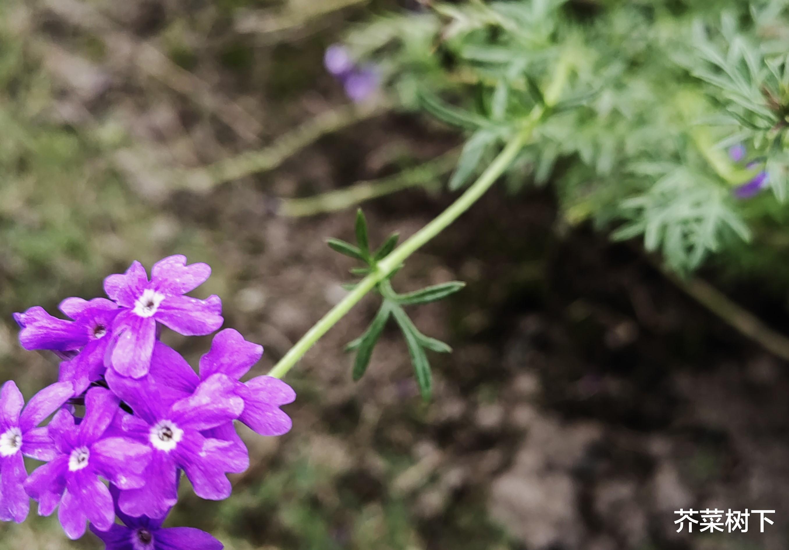 困难寻常事,意志拉差距
