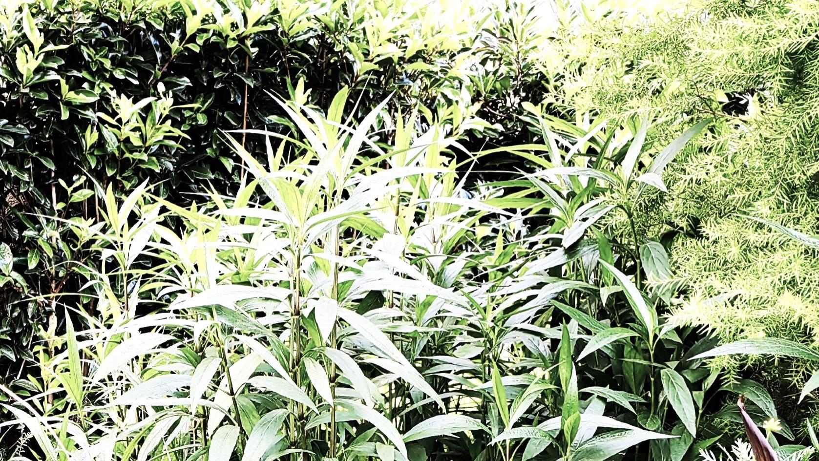 解决工作矛盾，稍微多点耐心